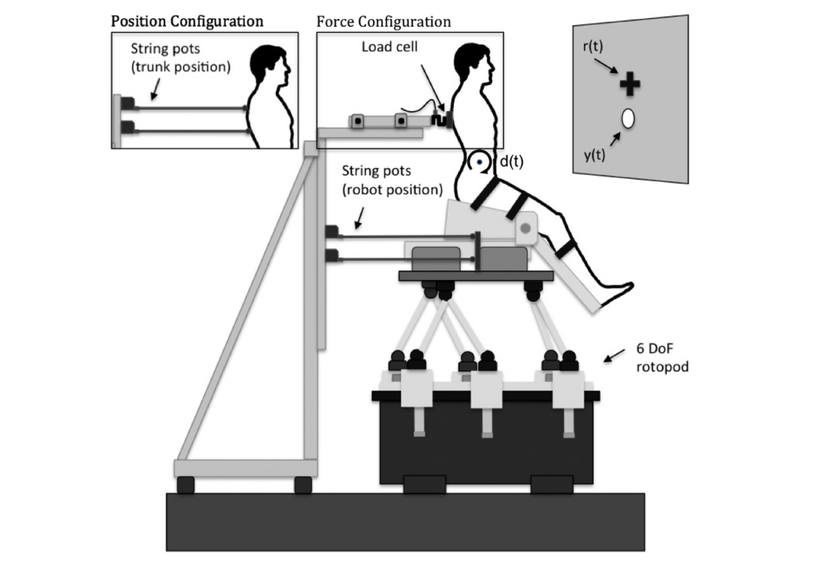 Modeling, assessment, and rehabilitation of human motor control systems