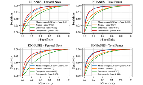 Interpretable Deep-Learning Approaches for Osteoporosis Risk Screening and Individualized Feature Analysis Using Large Population-Based Data: Model Development and Performance Evaluation