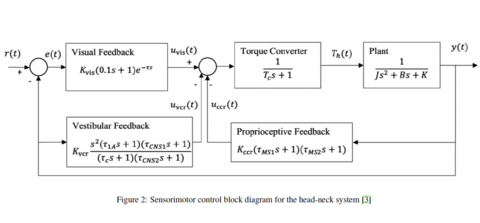 Regularized Nonlinear Regression for Simultaneously Selecting and Estimating Key Model Parameters: Application to Head-Neck Position Tracking